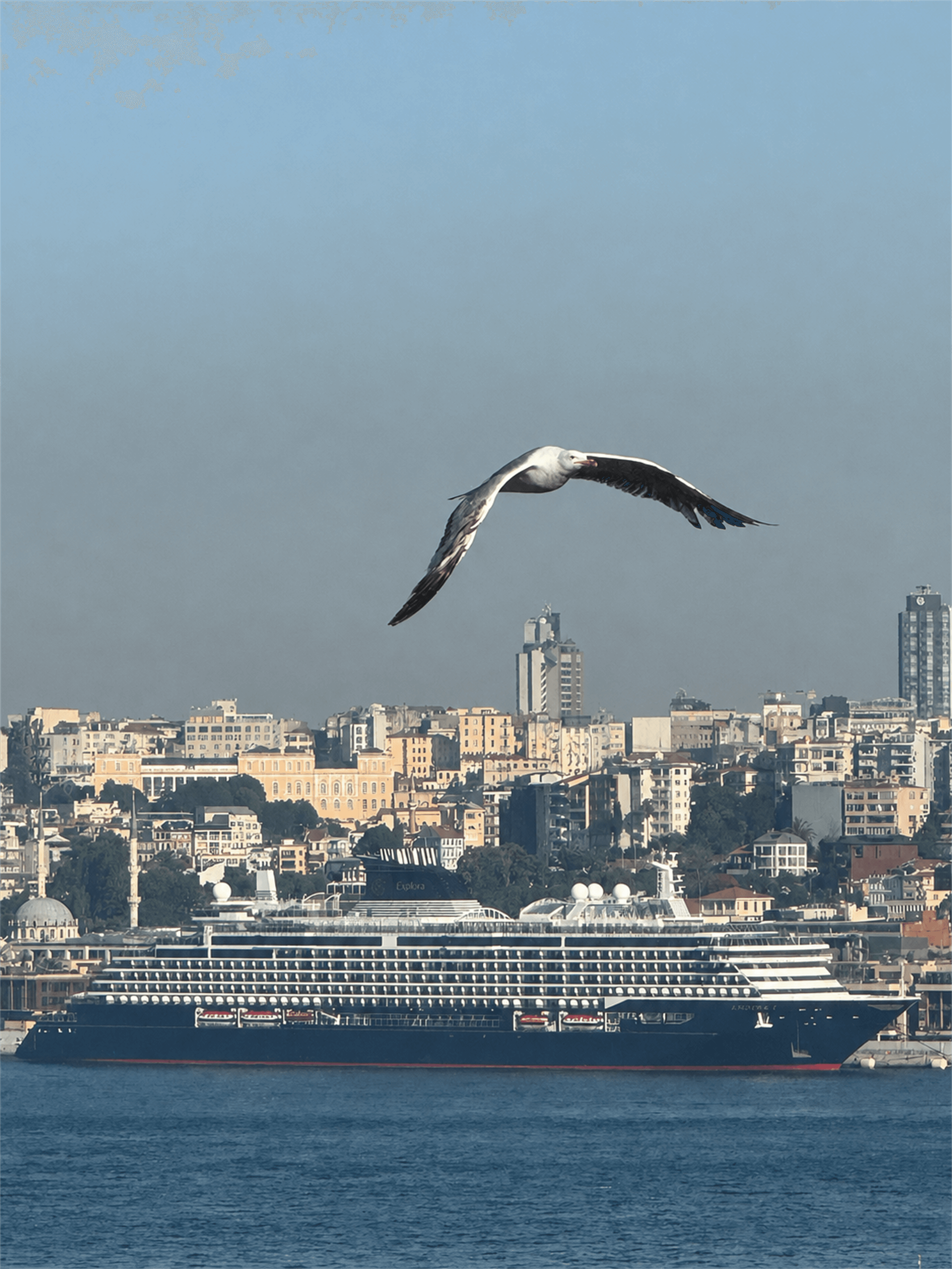 Explora I, İstanbul Boğazı'nda martı eşliğinde